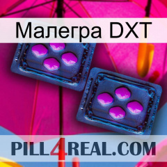 Малегра DXT 03